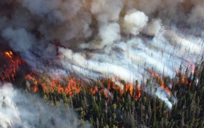 Launch dieser Webseite