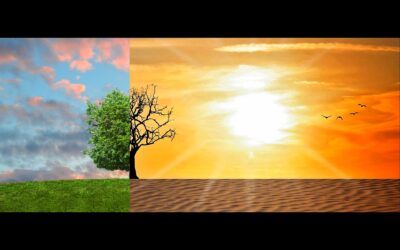 Round Table „Katastrophenmanagement“ an der FOM Hochschule